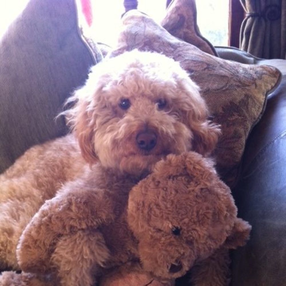 Meet your Posher, Catherine